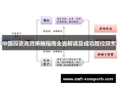 中国投资高效策略指南全面解读及成功路径探索