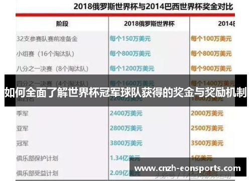 如何全面了解世界杯冠军球队获得的奖金与奖励机制