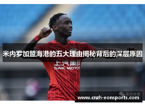 米内罗加盟海港的五大理由揭秘背后的深层原因